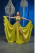 Professional bellydance costume (Classic 415A_1s)